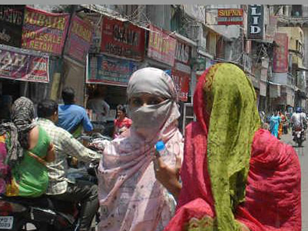 వేసవి వేడివల్లే తగ్గిన దిగుబడులు వేసవి వేడివల్లే తగ్గిన దిగుబడులు