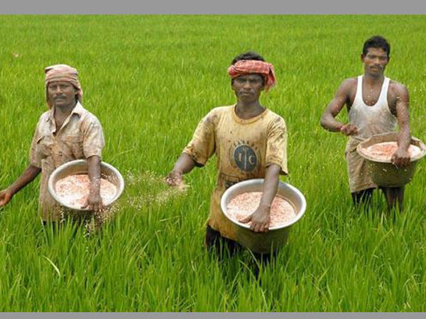 పెరుగనున్న ఎరువుల ధరలు పెరుగనున్న ఎరువుల ధరలు