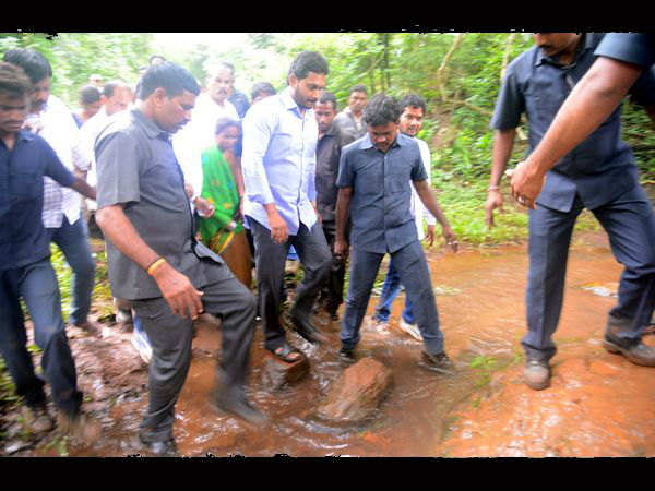 గడ్డి పెడితే మానవత్వం వస్తుందో