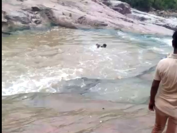 గజఈతగాళ్ల గాలింపు.. గజఈతగాళ్ల గాలింపు..