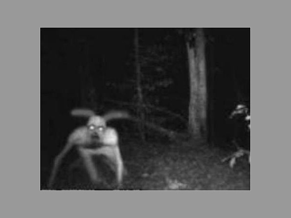 పాదం, కాలివేళ్లు.. గ్రహాంతరవాసులను పోలి ఉన్నారని..