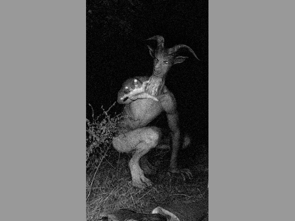 అంతా అబద్దమని..