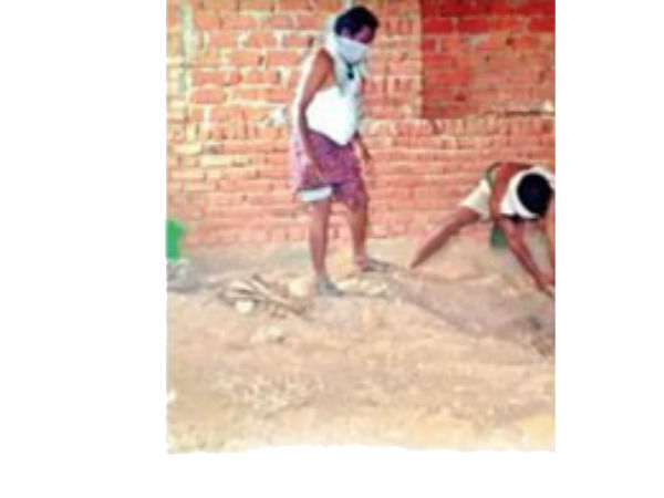 వీధి కుక్కలు ఇలా చేధించాయి