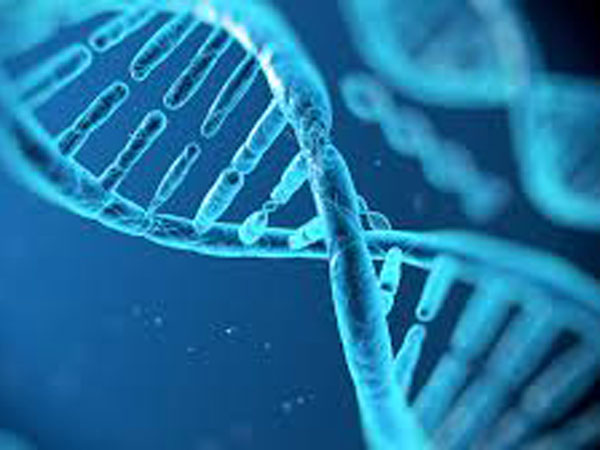 దీర్ఘకాలిక వ్యాధులు ఒకే కులంలో: