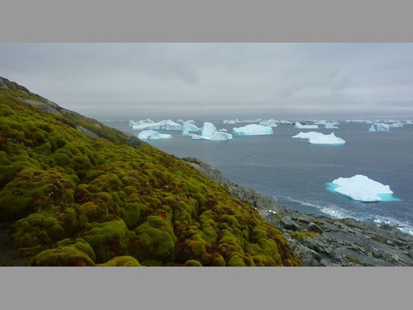మంచు కరిగితే 160 అడుగుల ఎత్తున నీరు 