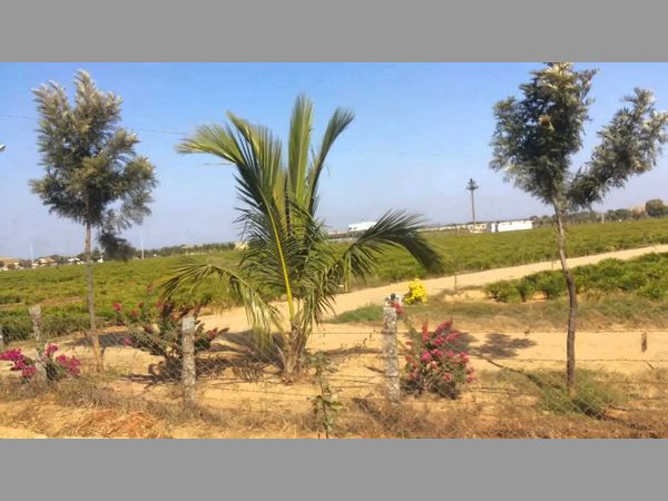 మూడు గంటల పాటు చర్చలు