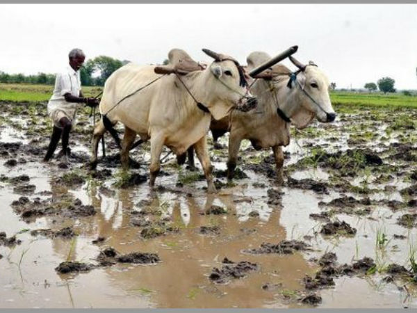 వడ్డీ చెల్లించలేక.. కొత్త అప్పు పొందలేక అన్నదాత అగచాట్లు