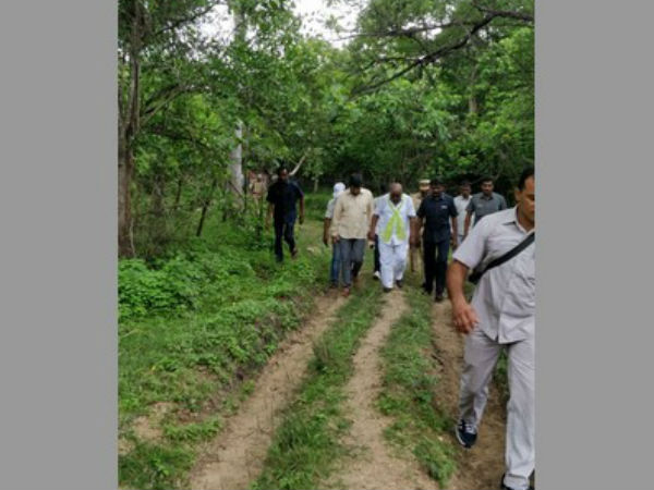 దారితప్పారిలా..