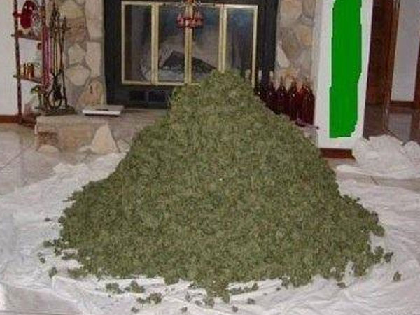 స్నేహితుడి సహాయం స్నేహితుడి సహాయం