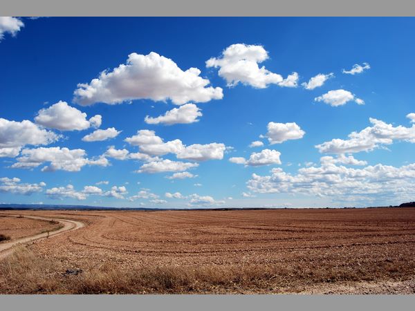 సగం కూడా రాని వర్షాలు