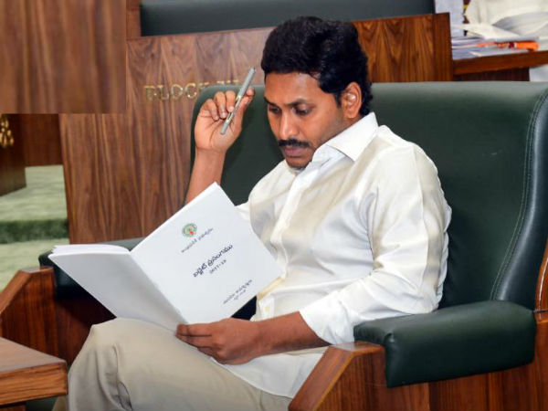 జగన్‌ను వ్యక్తిగతంగా విమర్శించలేదు