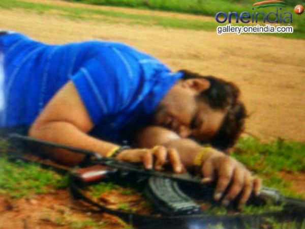 కుక్కుల కోసం స్పెషల్ డైట్: