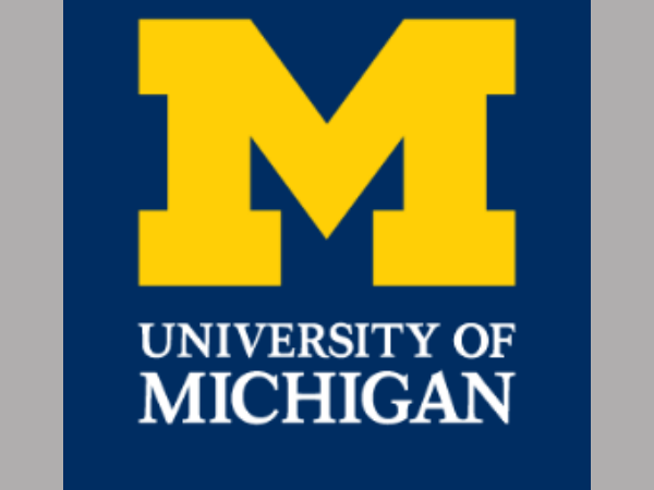 లోతైన విశ్లేషణ: