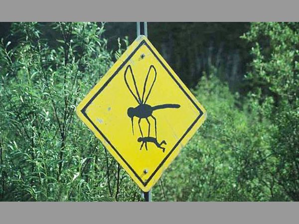 కేసుల విషయంలో స్ర్కీనింగ్ లోపం