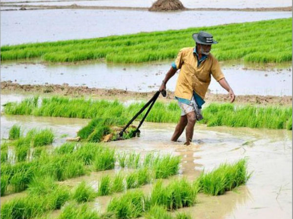 సాయమూ అంతకన్నా లేదు!