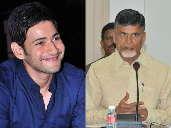 మహేష్ బాబు నాకు మద్దతిచ్చారు తప్పితే టిడిపికి కాదు