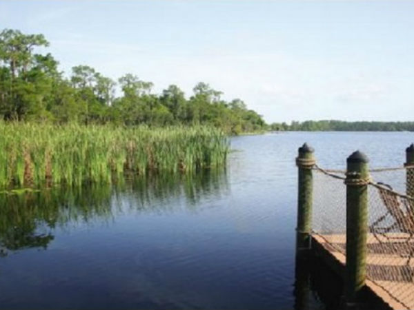 తుఫానులో ఈతకు వెళ్లడమేంటి?