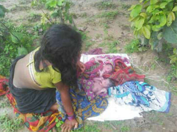 gowri-kamar gowri-kamar