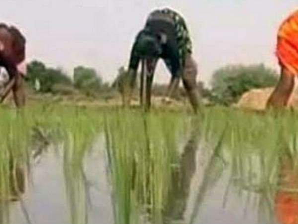 Crop loans not available in Karimnagar Dist 