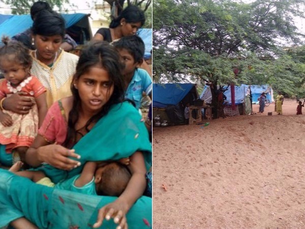 ఎల్లారెడ్డి పేటలో...