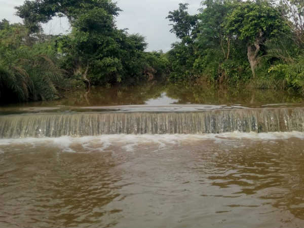 పొంగిపొర్లుతున్న గౌరంవాగు...