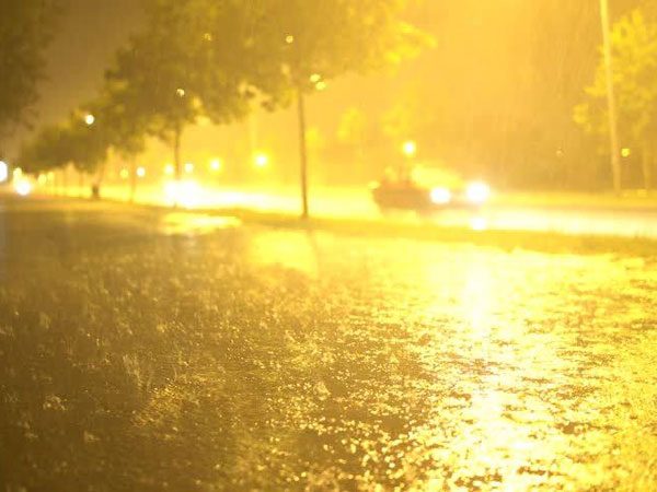 పునరావాస కేంద్రం: