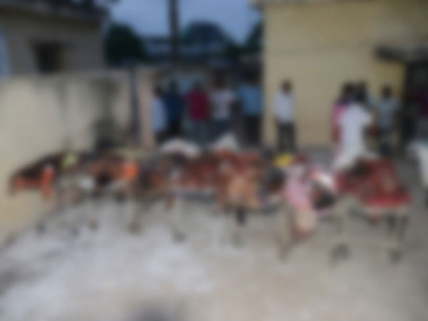 ప్రత్యేక్ష సాక్షిగా 15ఏళ్ల బాలుడు