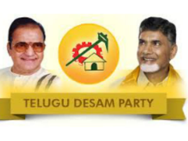 ఎన్టీఆర్‌పై అభిమానంతో..