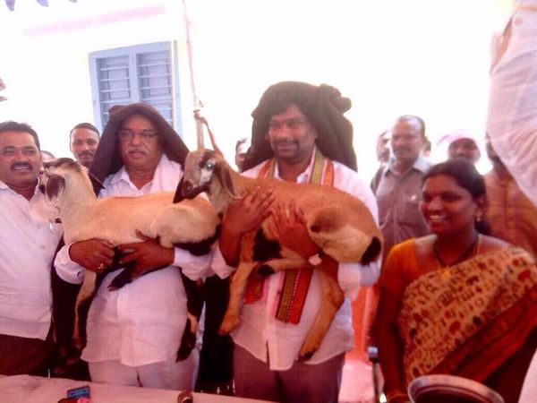 గ్రామ సొసైటీలు, పశువైద్యులు: