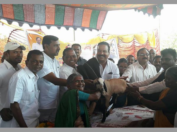 భూపాలపల్లి, మహబూబాబాద్, సూర్యాపేట: