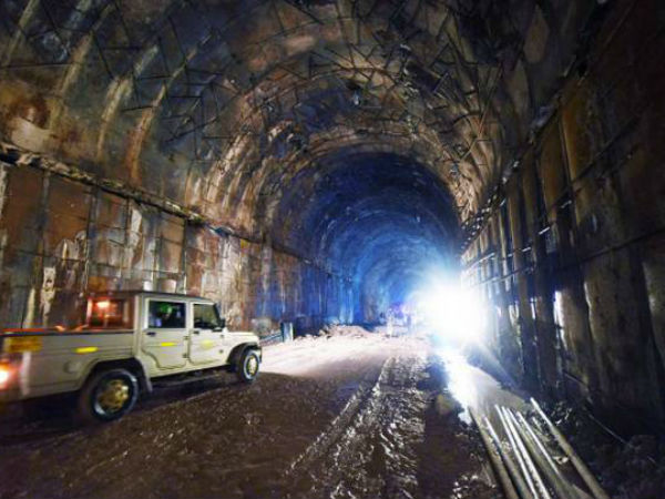 ప్రత్యామ్నాయ అడవులు