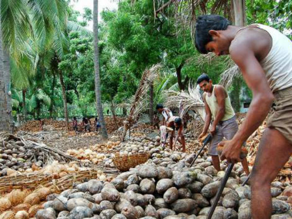 రూ.8000 వరకు పలికితే లాభసాటే