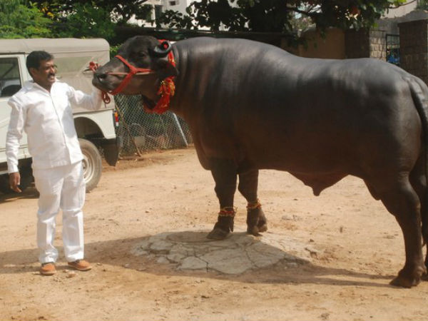 రూ. 25కోట్ల సెషన్ షా రూ. 25కోట్ల సెషన్ షా