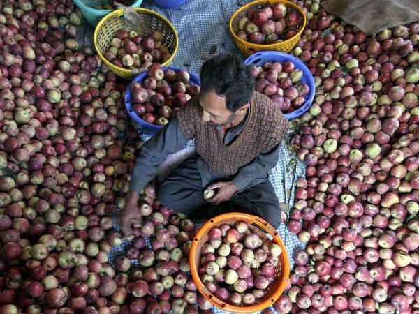 ప్రధాని మోదీ ప్రచారం ఇలా