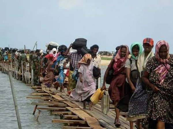  మానహ హక్కుల నిపుణులు: