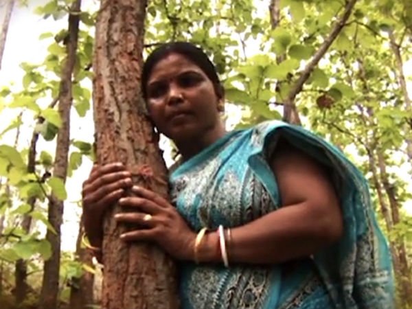 ఆమెకు ప్రతి చెట్టు ఒక సోదరుడే ఆమెకు ప్రతి చెట్టు ఒక సోదరుడే