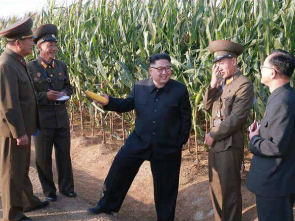 వేటిపై నిషేధం: