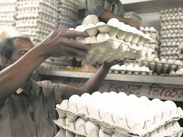 ఎగుమతులే కారణం: