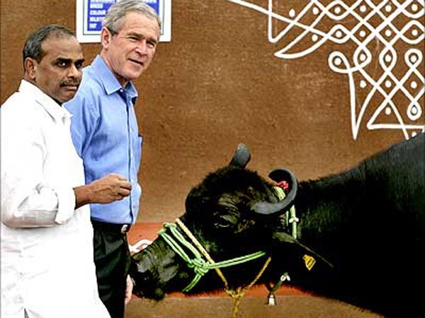 వైఎస్ హయాంలో జార్జి బుష్