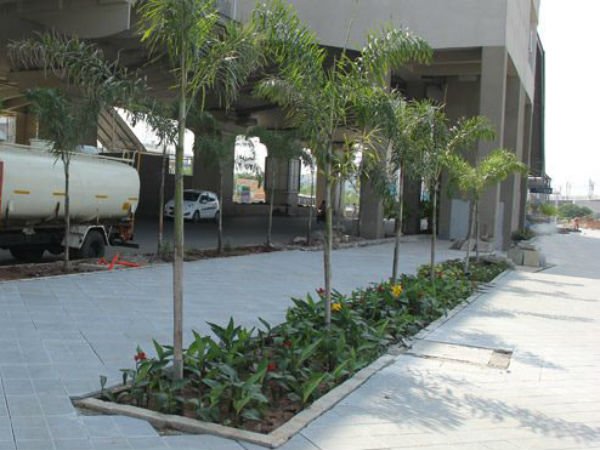 హడావిడి వద్దు...