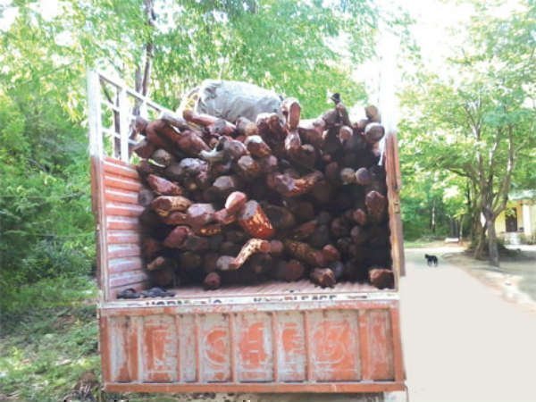  ఎవరీ స్మగ్లర్స్: