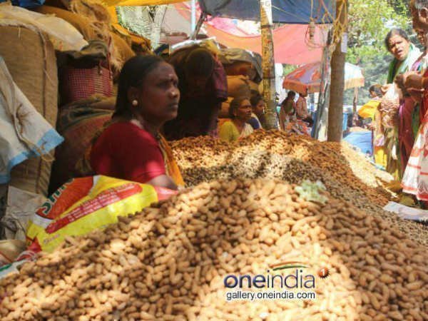  గుజరాత్ ఎన్నికలపై వేరుశనగ ప్రభావం