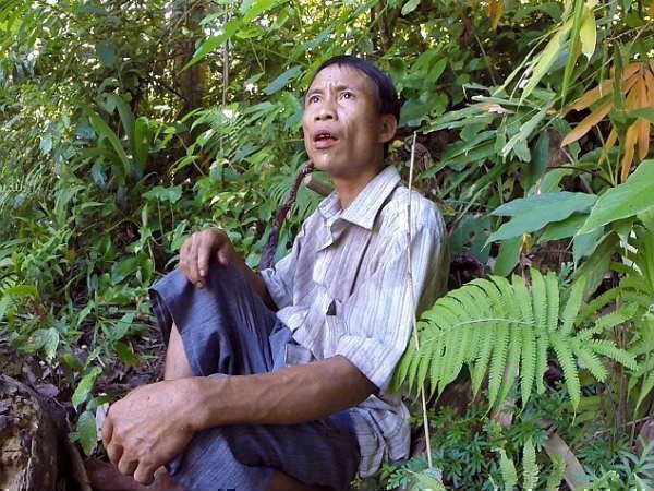 అడవులకు సమీపంలో ఇల్లు నిర్మాణం అడవులకు సమీపంలో ఇల్లు నిర్మాణం