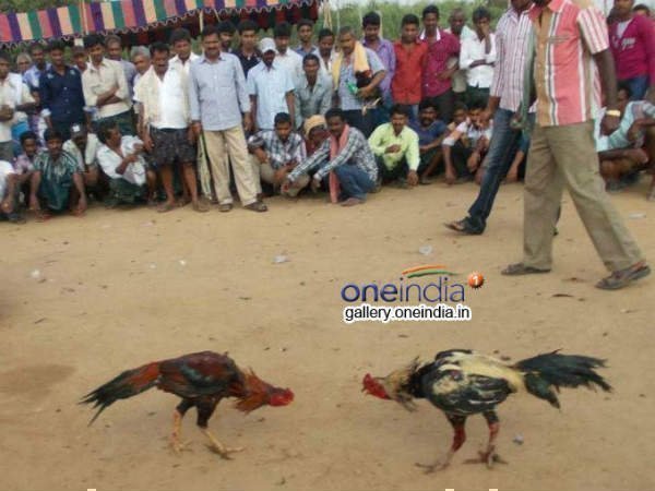 టెక్కీలు సైతం ఇలా