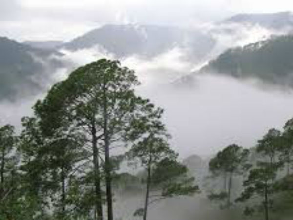 పర్యాటకుల సందడే సందడి...