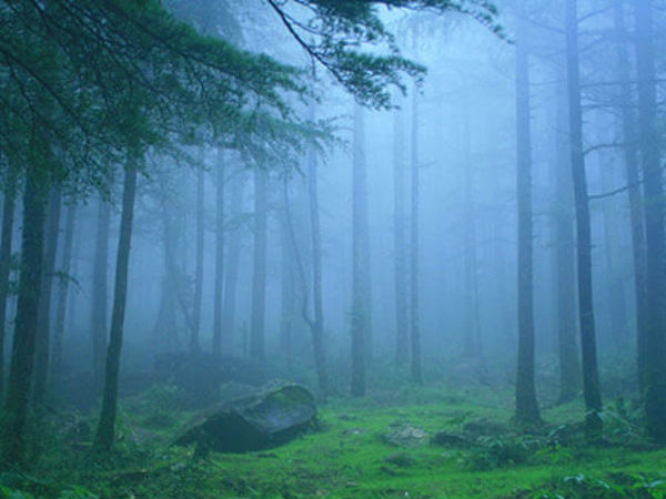 వాహనాలతో ట్రాఫిక్ జామ్...