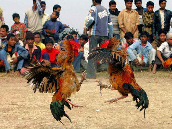  ఏకంగా...ఎమ్మెల్యేలు...సభపెట్టి మరీ...