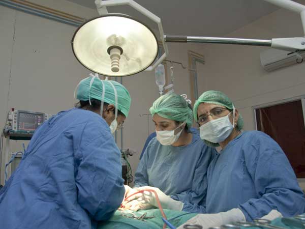  వైద్య విద్య, చికిత్స పర్యవేక్షణకు నాలుగు స్వతంత్ర మండళ్లు