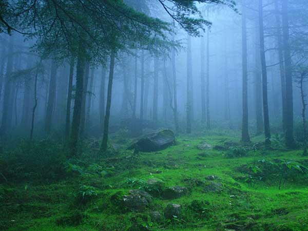  అన్నీ నిజమే కాని...ఆ ఒక్కటి మాత్రం...