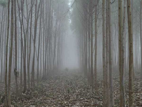  అలా చెప్పడం కరక్టేనా...